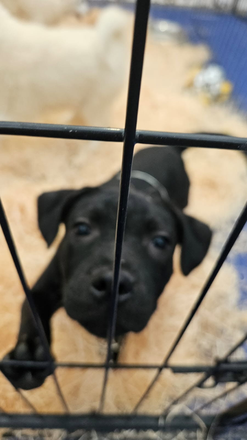 Nouvel article Topette! + Nouvel article