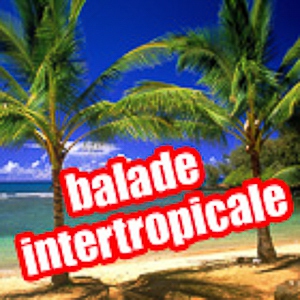 Balade intertropicale du 30 11 2024 Magazine sur la Culture antillaise Balade intertropicale du 30 11 2024