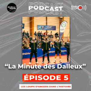 Minute Dalleux la minute des dalleux - L'histoire des Loups d'Angers