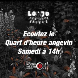 Archives articles Le quart d'heure angevin